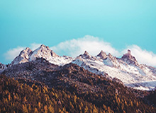 博鱼-九游体育官网:开启移动游戏新纪元,尽享官方生态