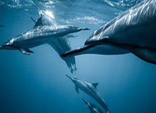 博鱼-九游APP,开启你的游戏新纪元